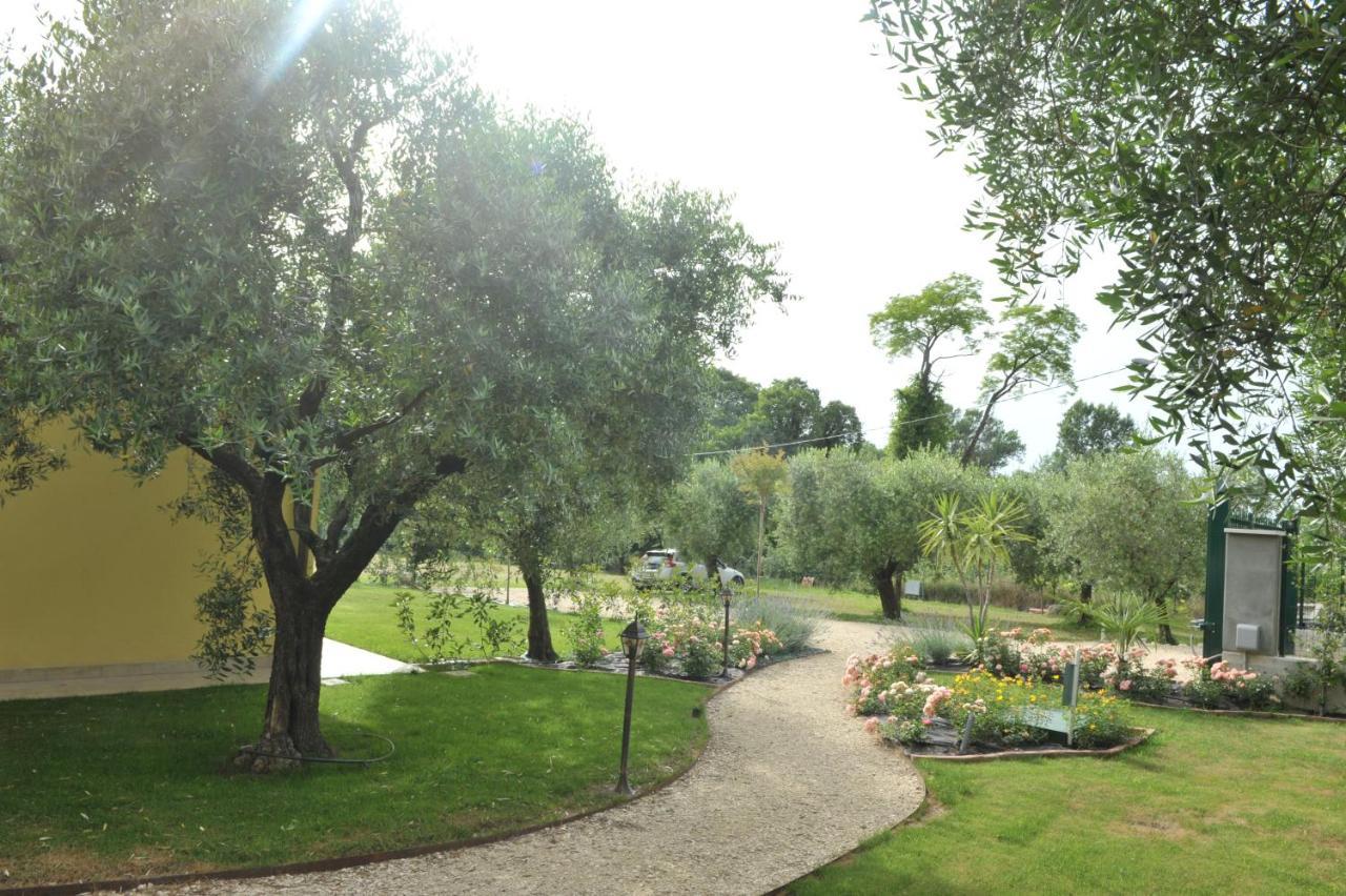 Bed and breakfast Paradiso Degli Ulivi